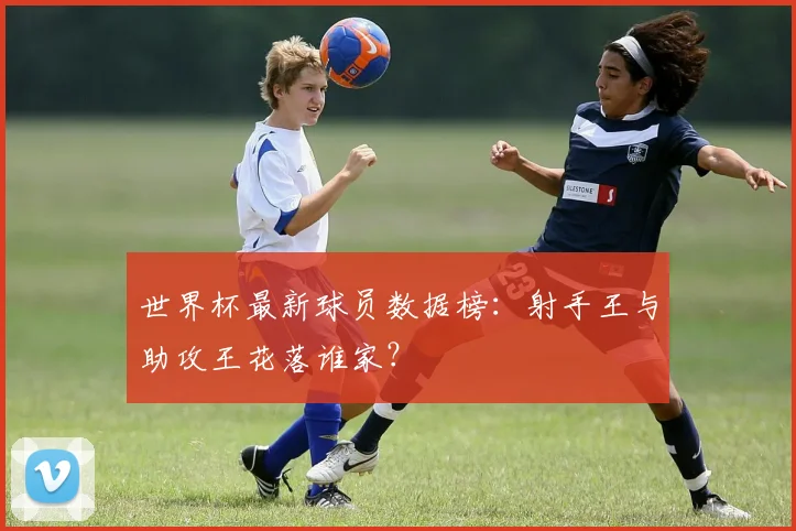 世界杯最新球员数据榜：射手王与助攻王花落谁家？
