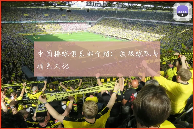 中国排球俱乐部介绍：顶级球队与特色文化