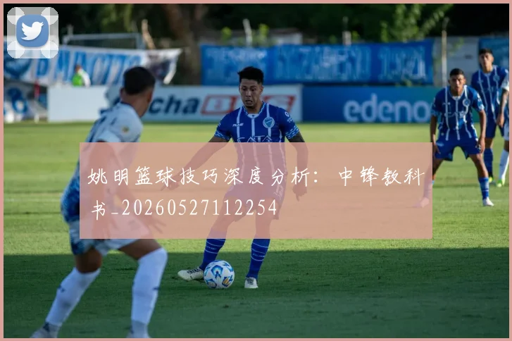 姚明篮球技巧深度分析：中锋教科书_20260527112254