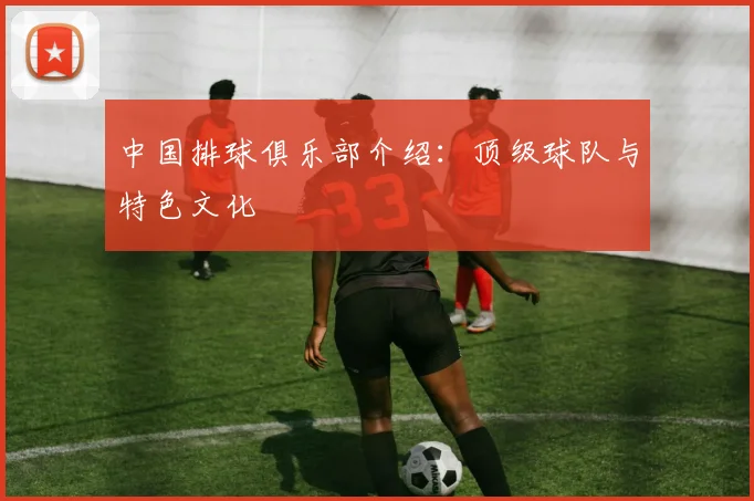 中国排球俱乐部介绍：顶级球队与特色文化