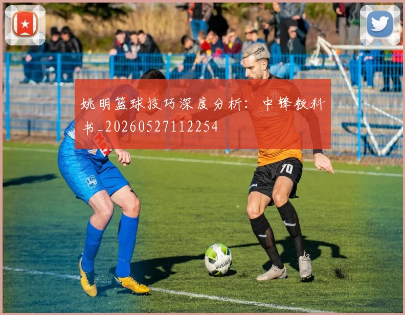 姚明篮球技巧深度分析：中锋教科书_20260527112254